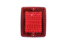 IZELED Fog Light with Red Lens