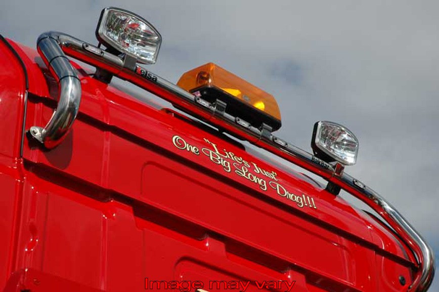 Stainless Steel BakBar for Scania 4 & R Series Highline