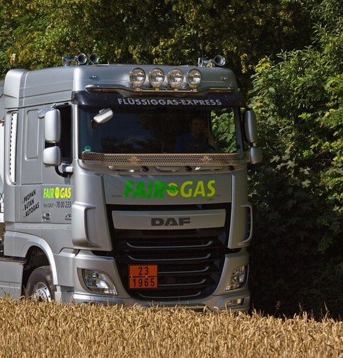 [32143004-DAF] RVS Steenvanger voor DAF