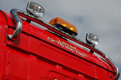 RVS BakBar voor Scania 4 & R-Serie Highline