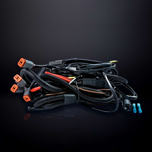 [5270488] Siberia High Power Kabelset 12V - 4 x DT-Connector